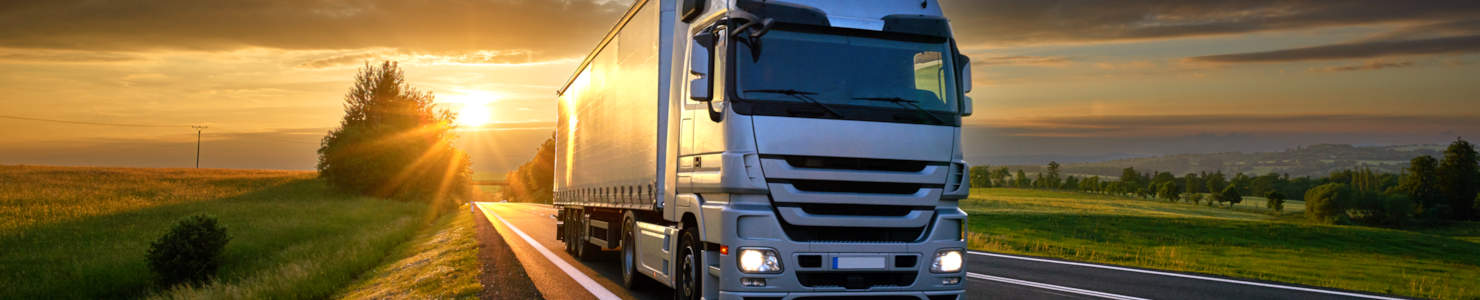 Lastebildekk Banner
